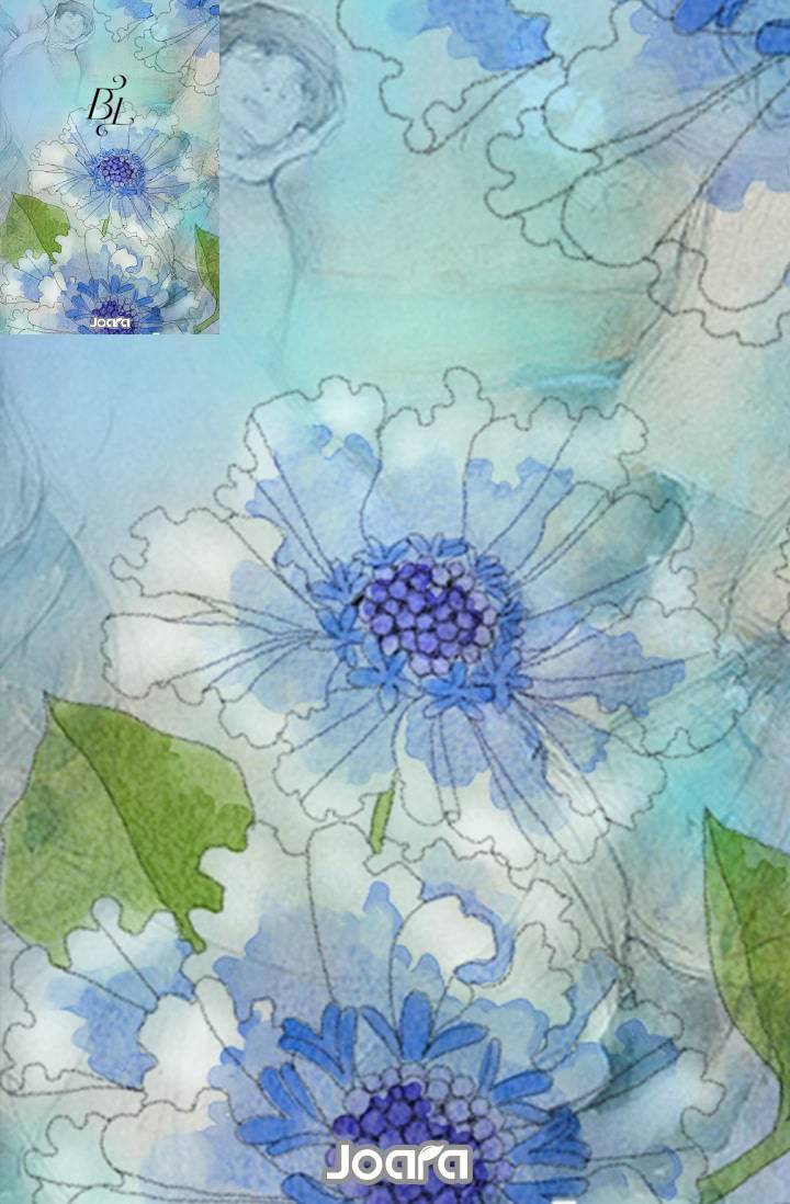 조아라 : 스토리 본능을 깨우다